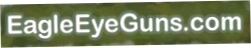 Eagle Eye Guns