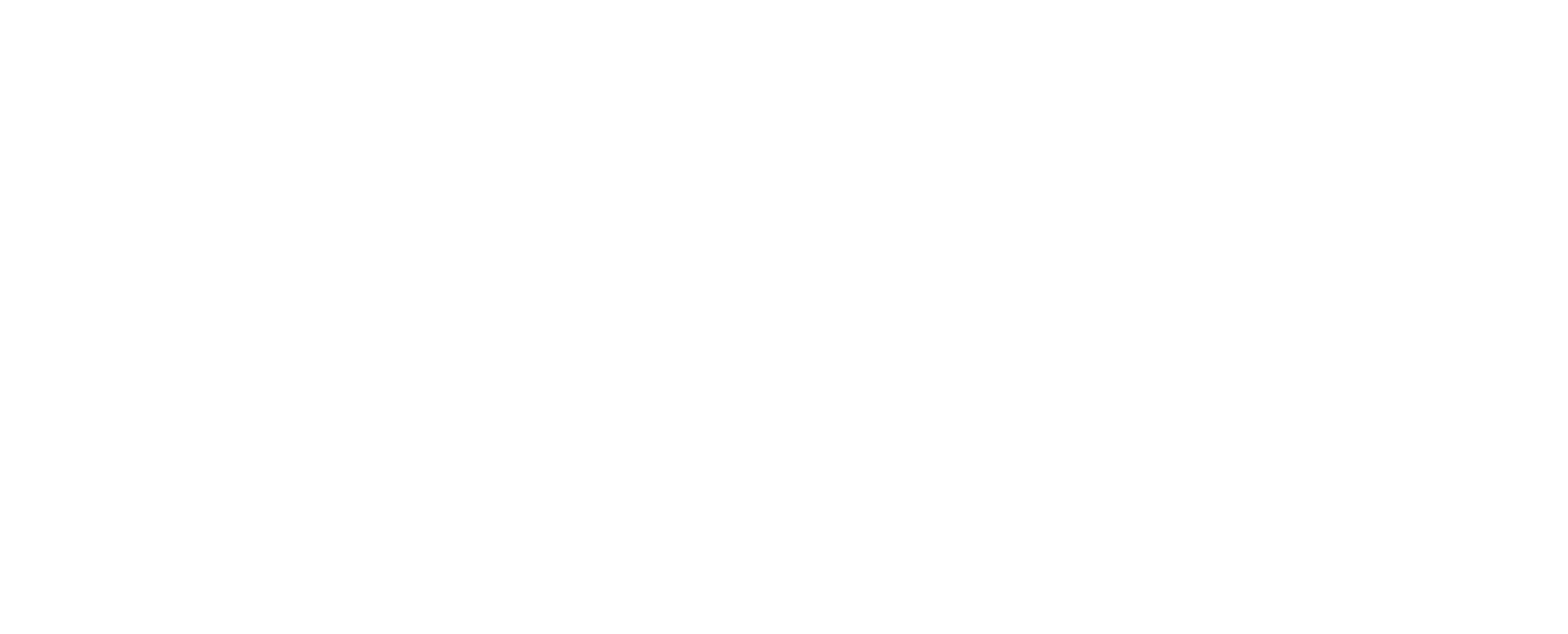Walther Arms USA