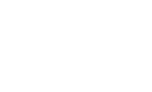 Pamax Tactical