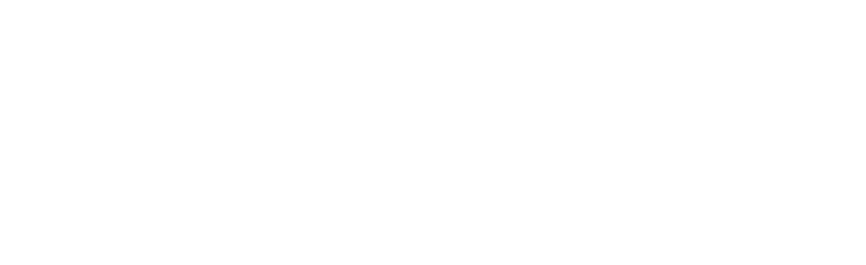 Cobra Foam Inserts