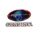 Guns Inc