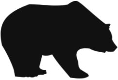 Bear Hollow Supply