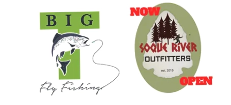 Big T Fly Fishing