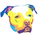 Squishy Face Studio