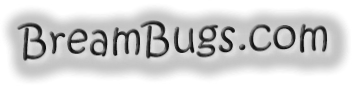 BreamBugs
