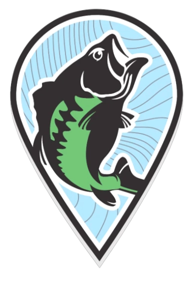 Fish the Moment