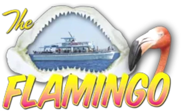 Flamingo Fishing