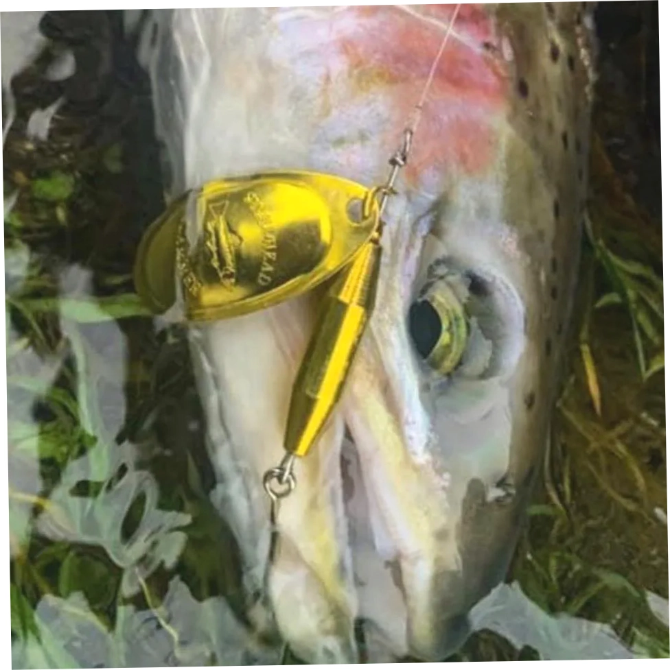 STEELHEADSLAMMER