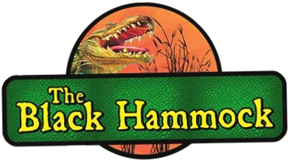 Black Hammock Airboat Rides