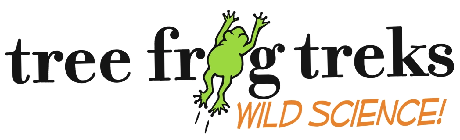 Tree Frog Treks