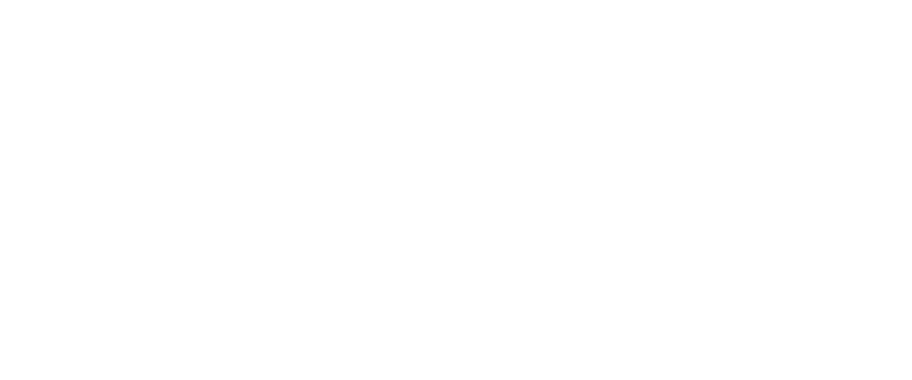 Wildcat Campervans