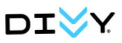 Divvy Bikes