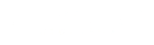 Swift Bicycles