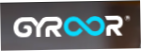 Gyroor