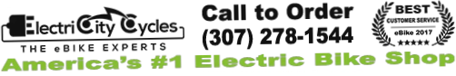 ElectriCity Cycles