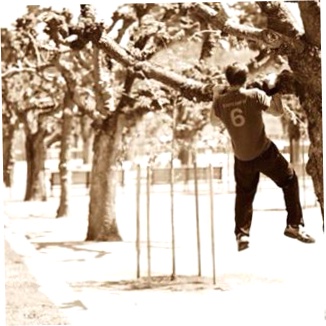 Bootcampsf