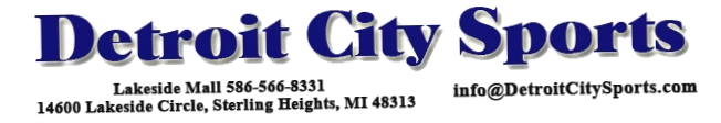Detroit City Sports
