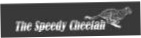 The Speedy Cheetah