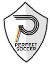 Perfect Soccer Skills