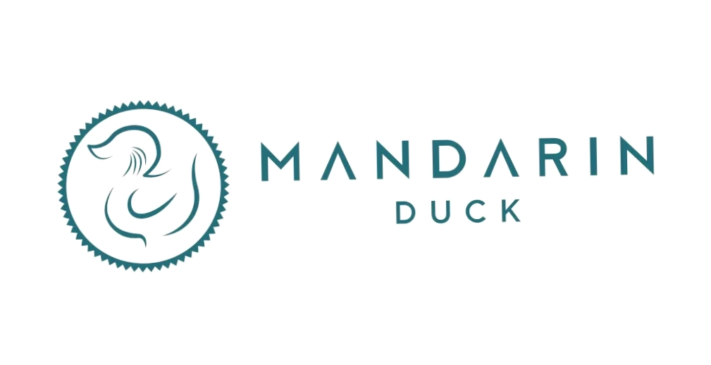 Mandarin Duck
