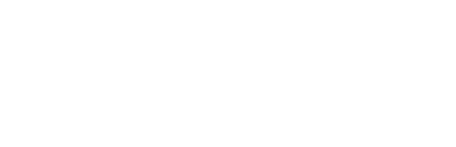All Ball Pro