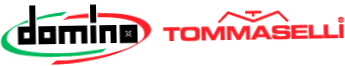 Domino USA