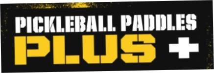 Pickleball Paddles Plus