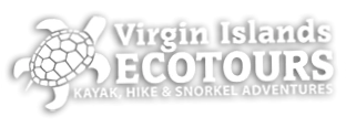 Virgin Islands Ecotours