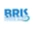 BRIS Inflatable