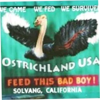 OstrichLand Usa