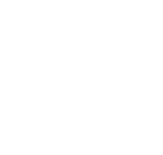 Beyond The Trees Avondale