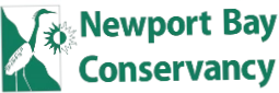 Newport Bay