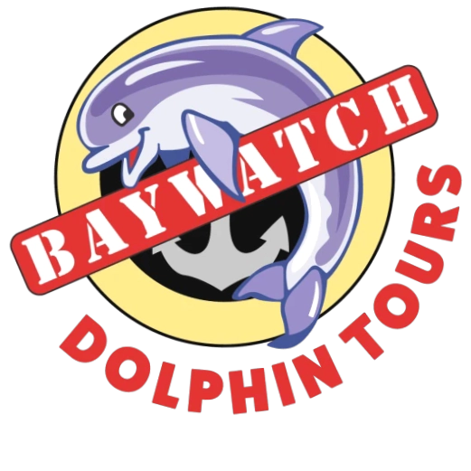 Baywatch Dolphin Tours