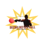 Boxing Reflex Ball
