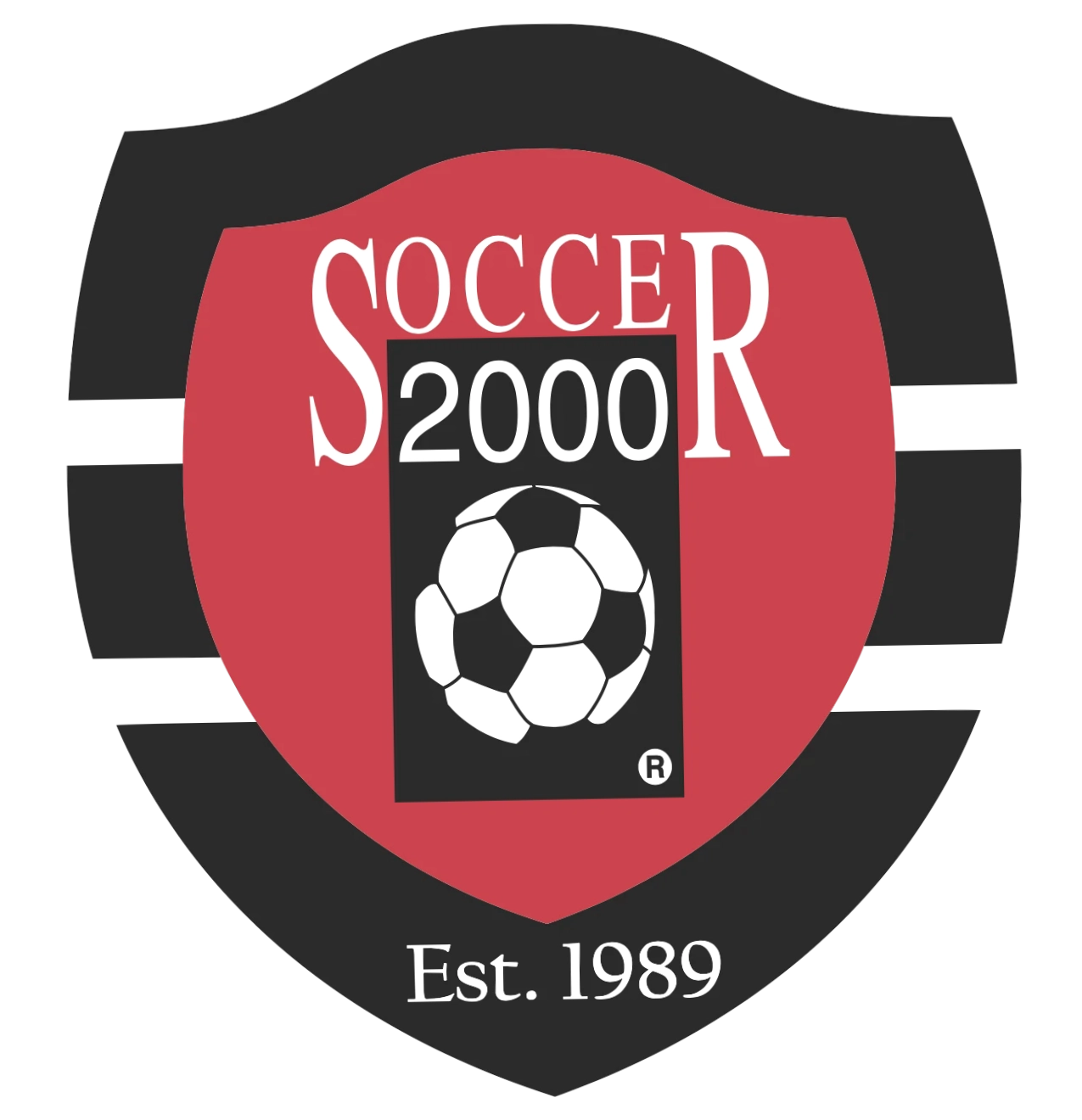 SOCCER 2000
