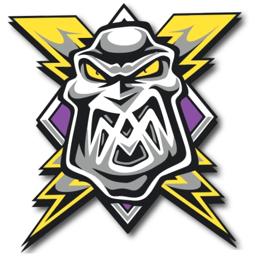Manchester Storm