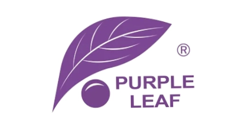 Purple Leaf