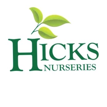 Hicks Nurseries