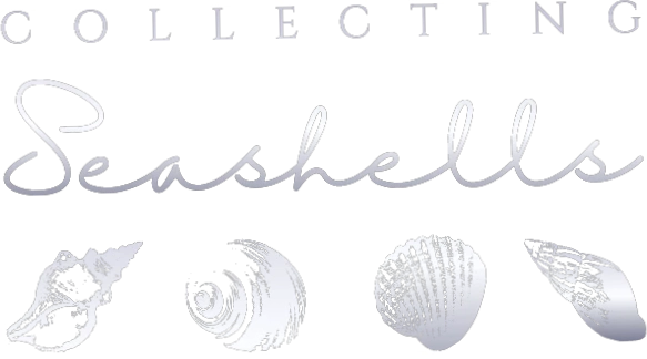 Collecting Seashells