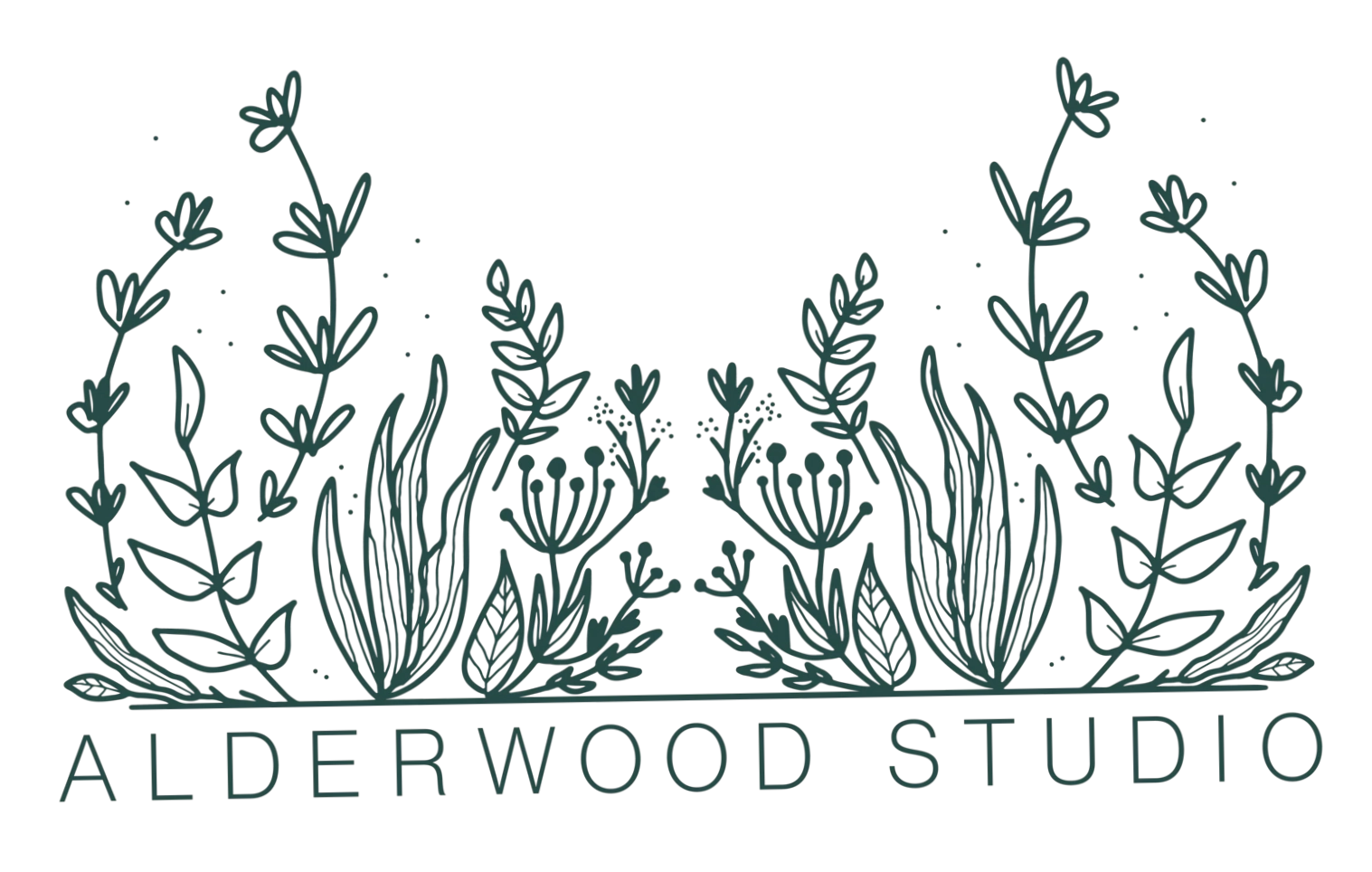 Alderwood Studio