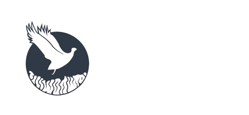 Phoenix Down Outlet