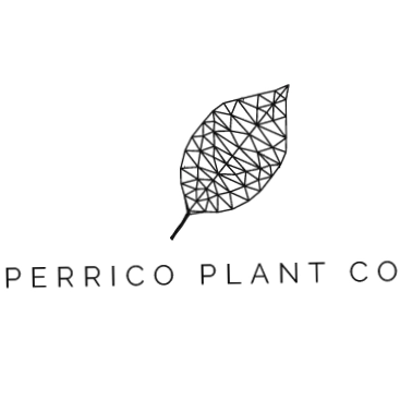 Perrico Plant Co