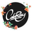 Coloraydecor
