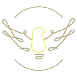Lighting Connection