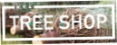 NYC TREE SHOP