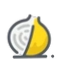 Yellow Onion