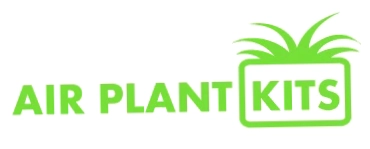 Air Plant Kits