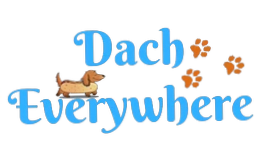 Dach Everywhere