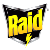 Raid
