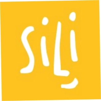 Silipint